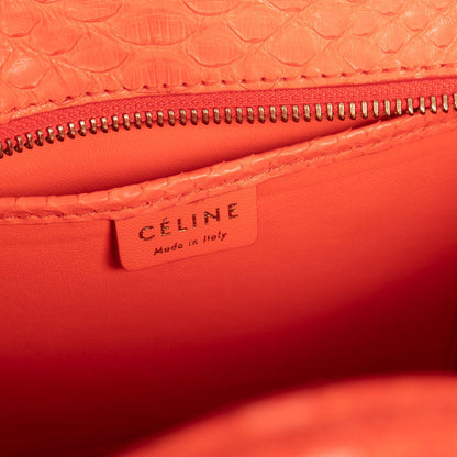 Celine Python Nano Luggage Tote