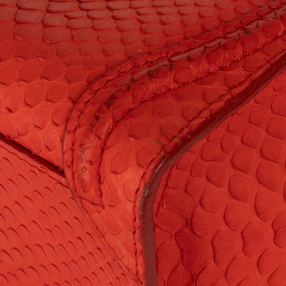 Celine Python Nano Luggage Tote