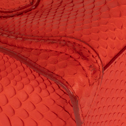 Celine Python Nano Luggage Tote