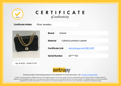 Chanel 2020 Small CC Pearl Accordion Flap Bag
