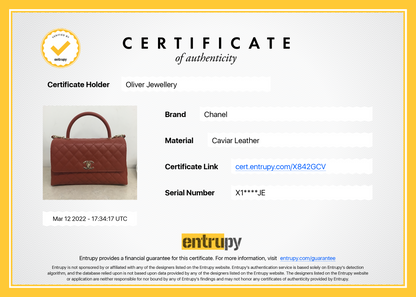 Chanel 2021 Medium Coco Handle Bag