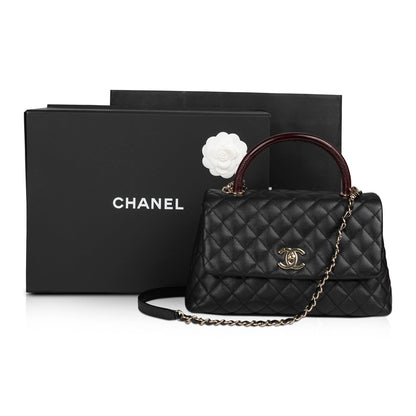 Chanel 2021 Medium Lizard-Trimmed Coco Handle Bag