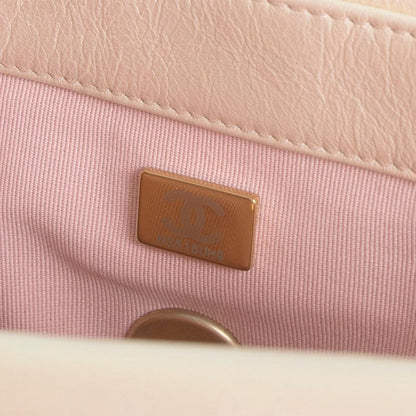 Chanel 2022 Rose Iridescent Medium 19 Flap Bag