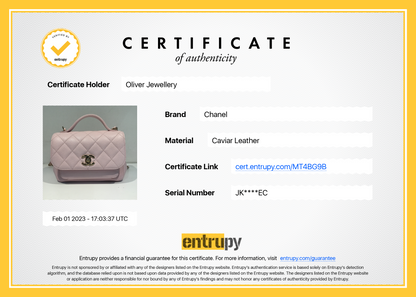 Chanel 2022 Small Business Affinity Flap Bag