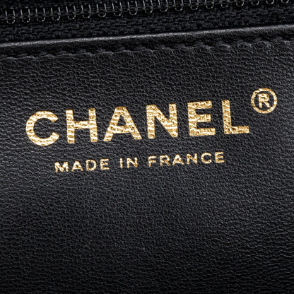 Chanel 2023 Black/White Raffia Calfskin CC Flap Tote
