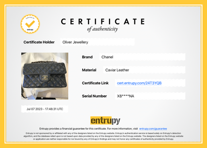 Chanel 2023 Grey Caviar Small Classic Double Flap Bag