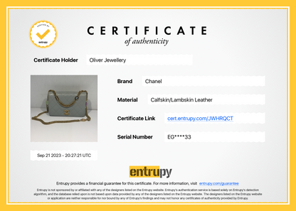 Chanel 2023 Grey Quilted Lambskin Leather Logo Chain Handle Flap Bag