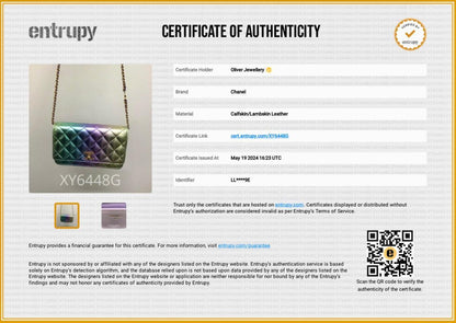 Chanel 2024 Metallic Multicolor Rainbow Lambskin Leather Strass Wallet on Chain