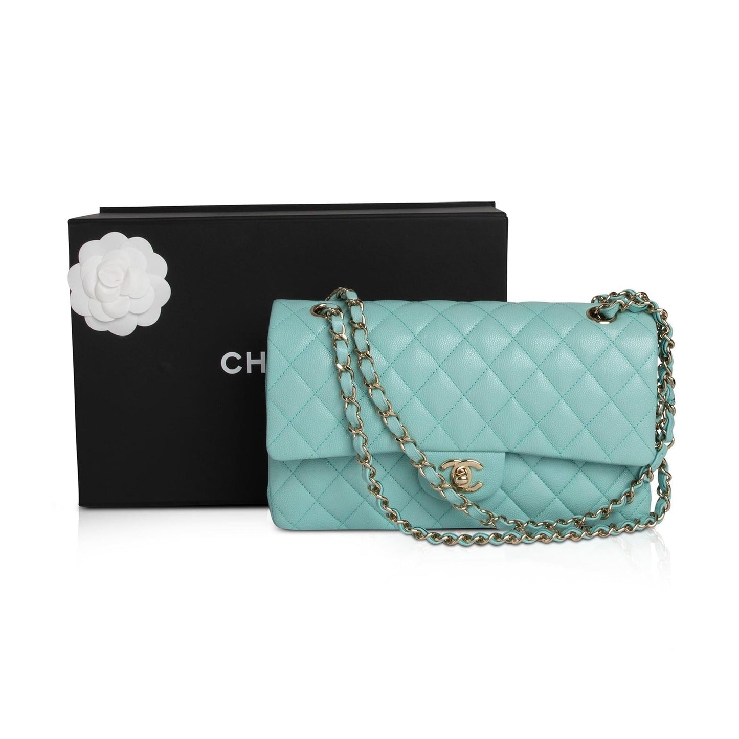 Chanel Classic Medium Double Flap Bag