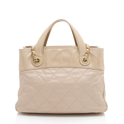 Chanel Glazed Calfskin In the Mix Small Tote (SHF-IzIEIo)