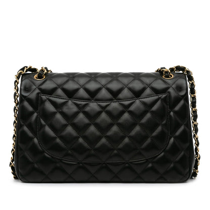 Chanel Jumbo Classic Lambskin Double Flap (SHG-0LaKgj)