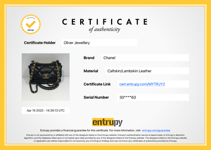 Chanel Medium 19 Flap Bag