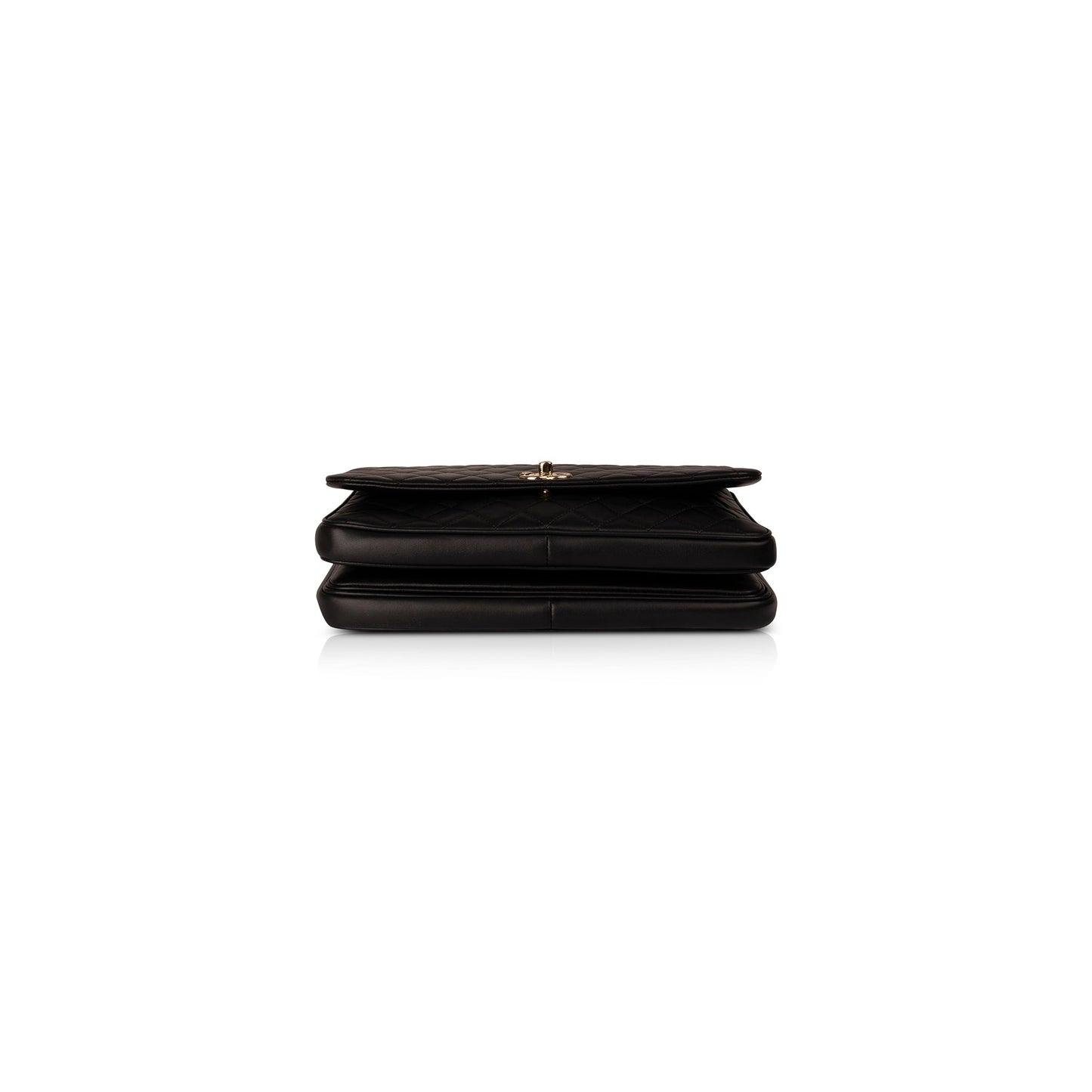 Chanel Medium Citizen Chic Flap Bag