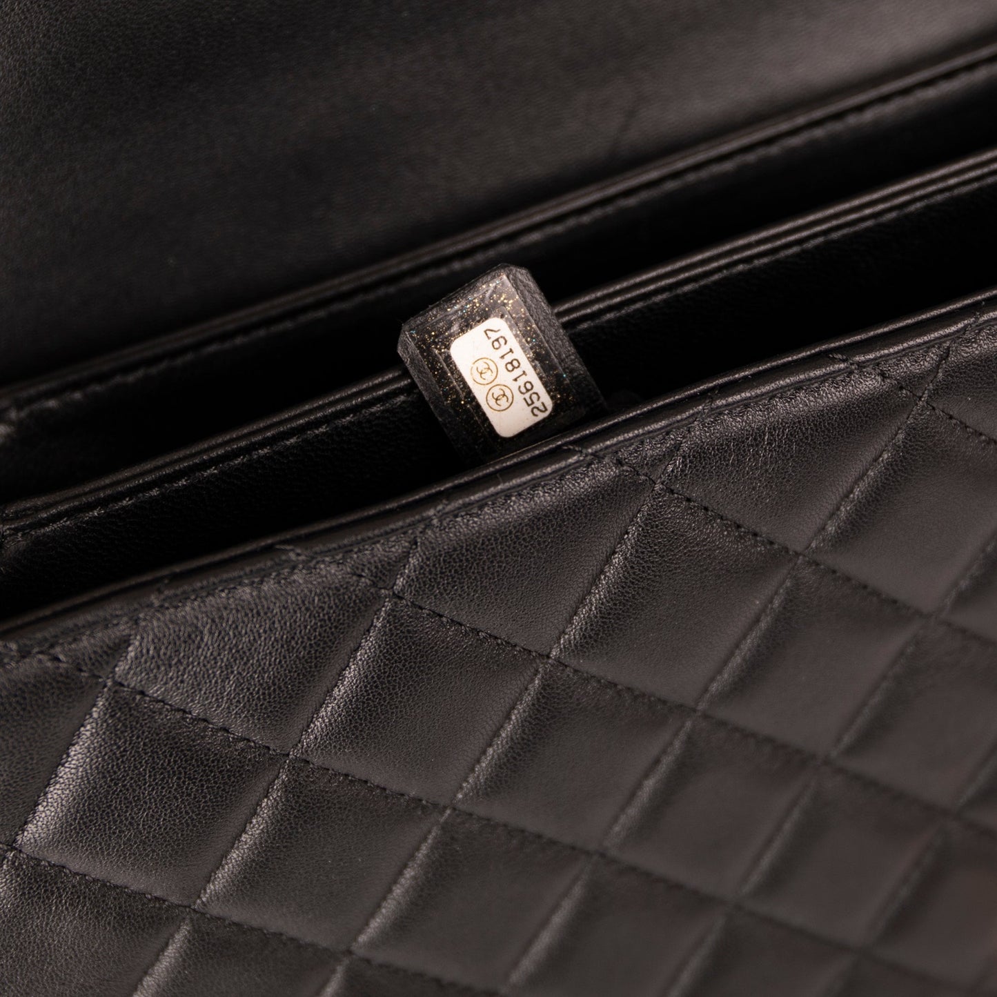 Chanel Medium Citizen Chic Flap Bag