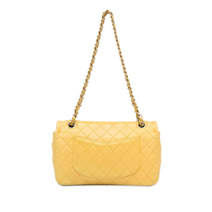 Chanel Medium Classic Lambskin Precious Jewel Single Flap (SHG-XnMA6A)