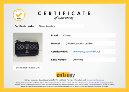 Chanel Medium Elegant CC Flap Bag