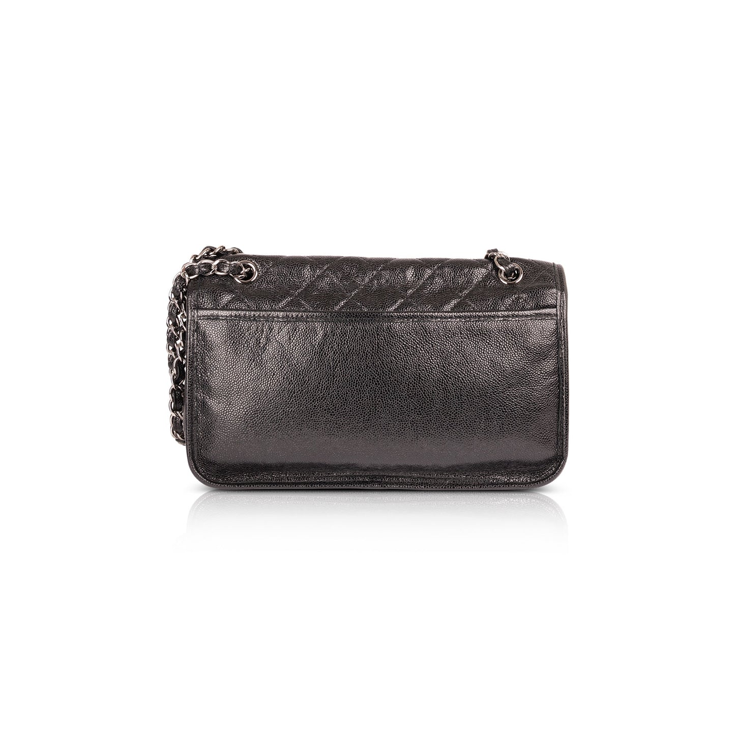 Chanel Medium Natural Beauty Split Pocket Flap Bag