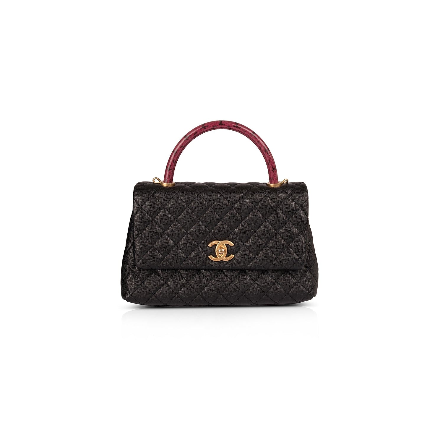 Chanel Medium Python-Trimmed Coco Handle Bag