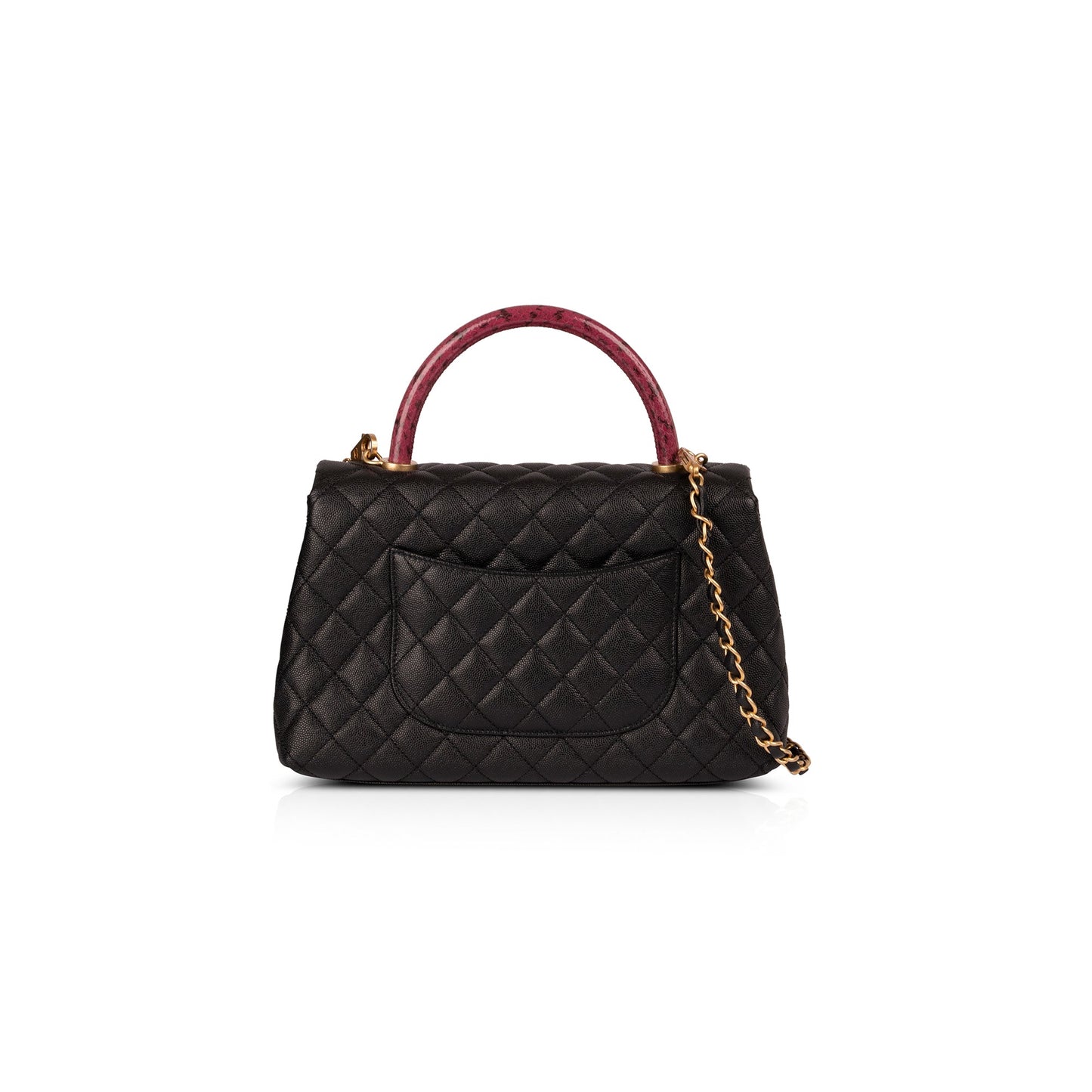 Chanel Medium Python-Trimmed Coco Handle Bag