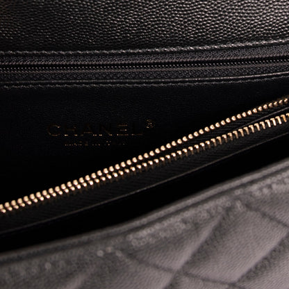 Chanel Medium Python-Trimmed Coco Handle Bag