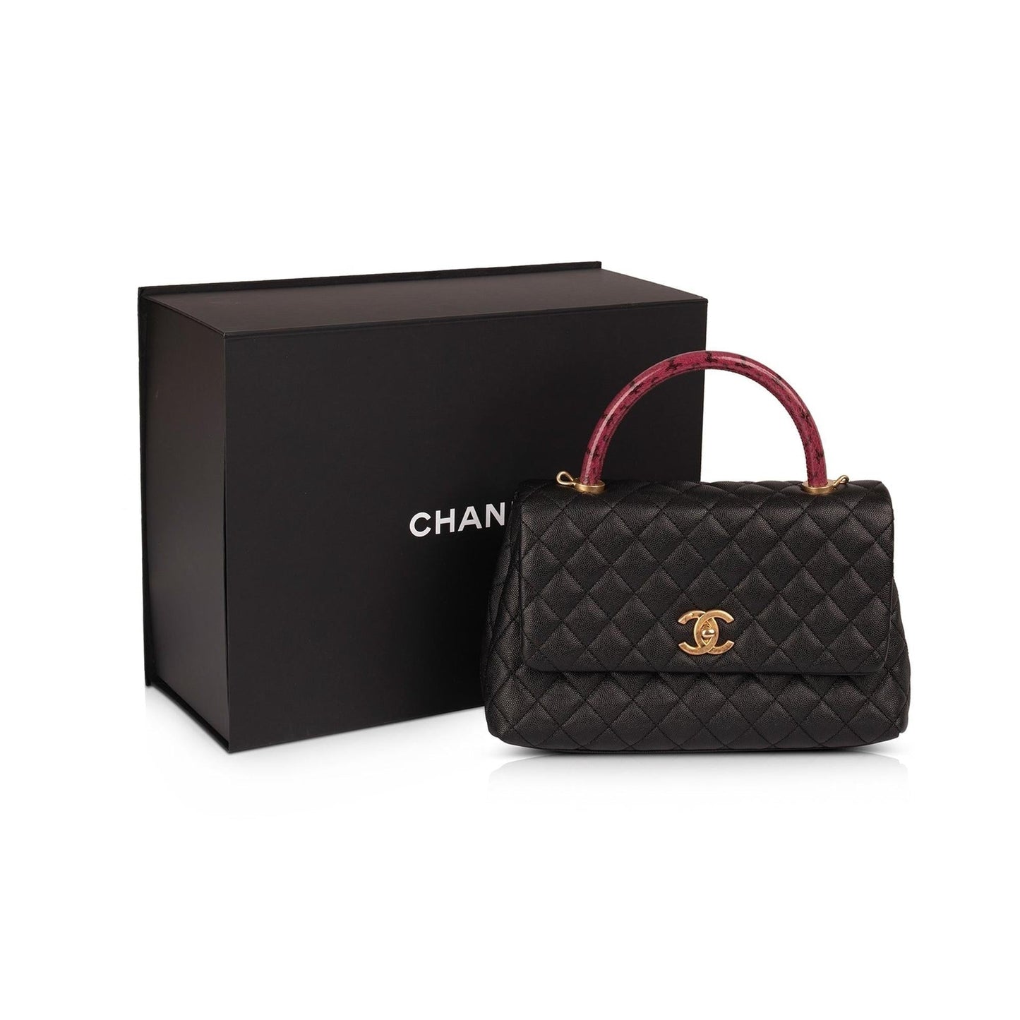 Chanel Medium Python-Trimmed Coco Handle Bag