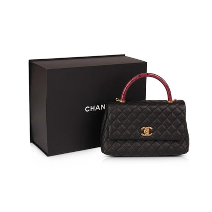 Chanel Medium Python-Trimmed Coco Handle Bag
