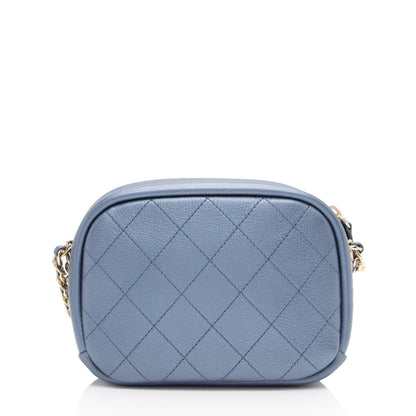 Chanel Metallic Goatskin Casual Trip Camera Bag (SHF-jQIRUc)
