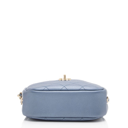 Chanel Metallic Goatskin Casual Trip Camera Bag (SHF-jQIRUc)