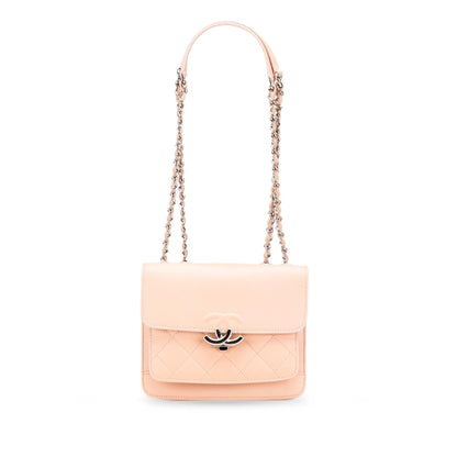 Chanel Mini Quilted Caviar CC Box Flap