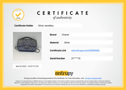 Chanel Python Easy Carry Medium Flap Bag
