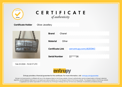 Chanel Silver Calfskin Leather Grommet Airline Medium Double Flap Bag