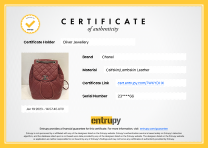 Chanel Small Daily Supple Backpack