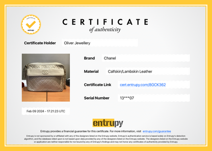 Chanel Vintage Neutral Quilted Lambskin Leather CC Tassel Camera Bag