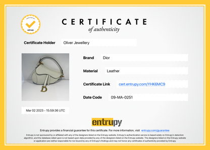 Christian Dior 2021 Medium Saddle Bag