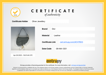 Christian Dior 2021 Medium Saddle Bag