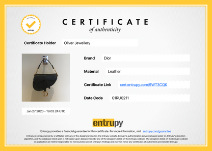 Christian Dior 2021 Mini Saddle Bag