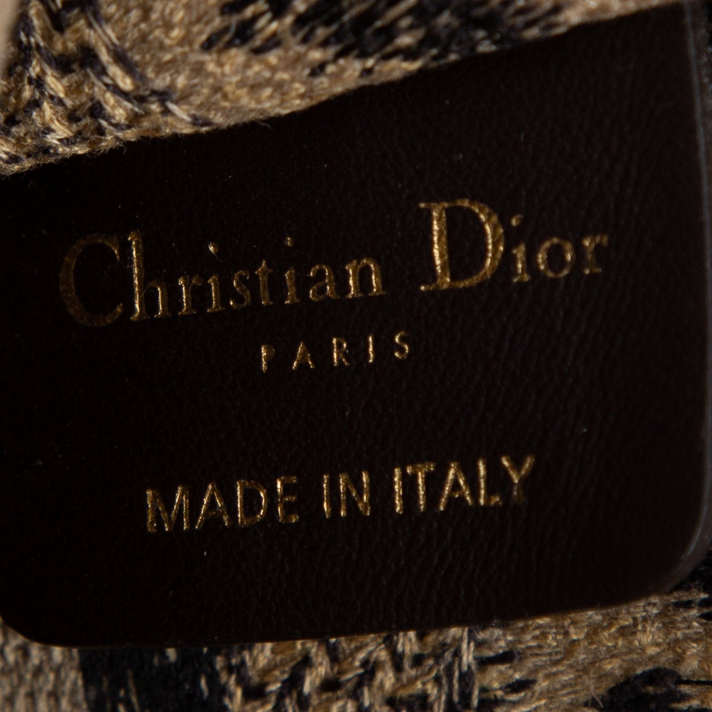 Christian Dior 2021 Mizza Mini Book Tote