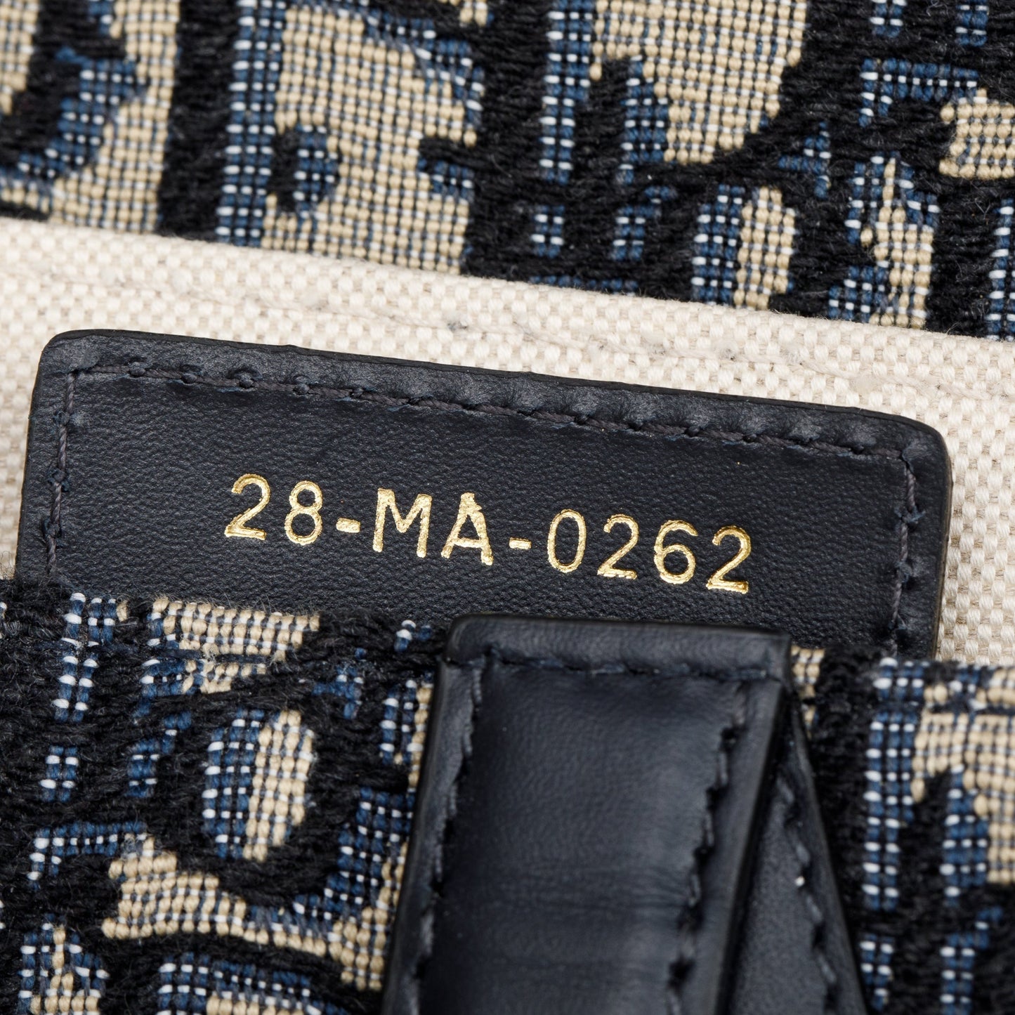 Christian Dior 2022 Oblique Medium Saddle Bag