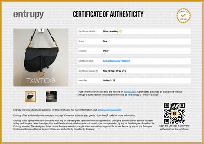 Christian Dior Black Grained Calfskin Leather Saddle Bag