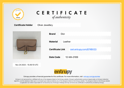 Christian Dior Leather Saddle Belt Pouch