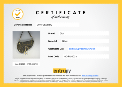 Christian Dior Limited Edition Grey Canvas Sequin-Embellished Saddle Bag