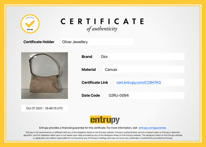 Christian Dior Oblique Canvas Baguette