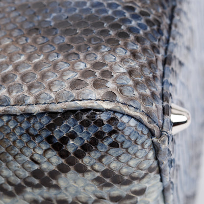 Christian Dior Python Large Lady Dior Bag