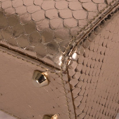 Christian Dior Python Mini Lady Dior Bag