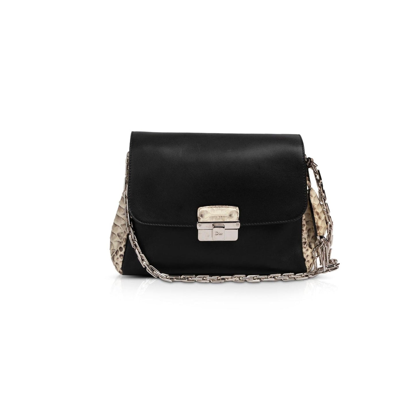Christian Dior Python-Trimmed Diorling Bag
