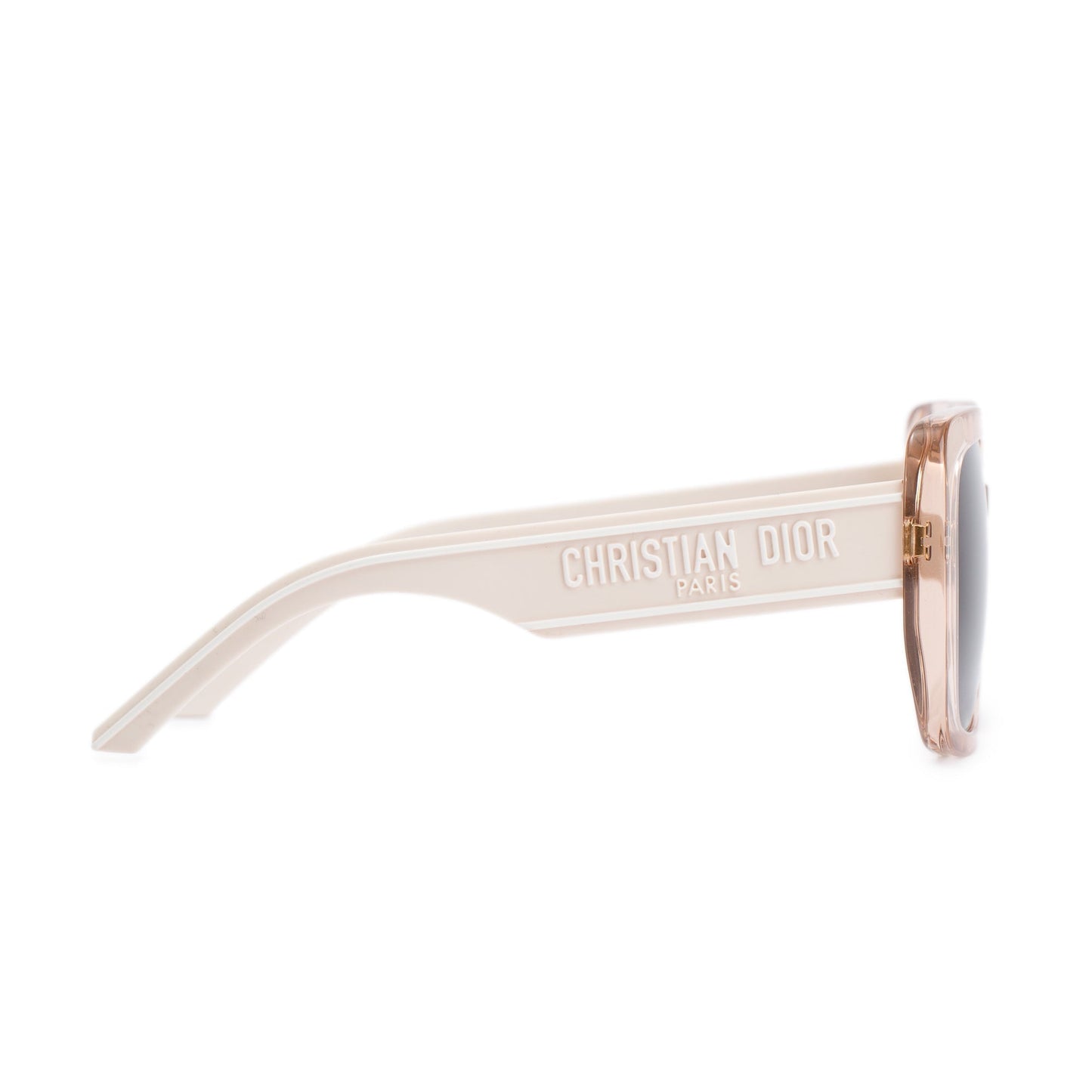 Christian Dior Wildior S3U Oversized Sunglasses