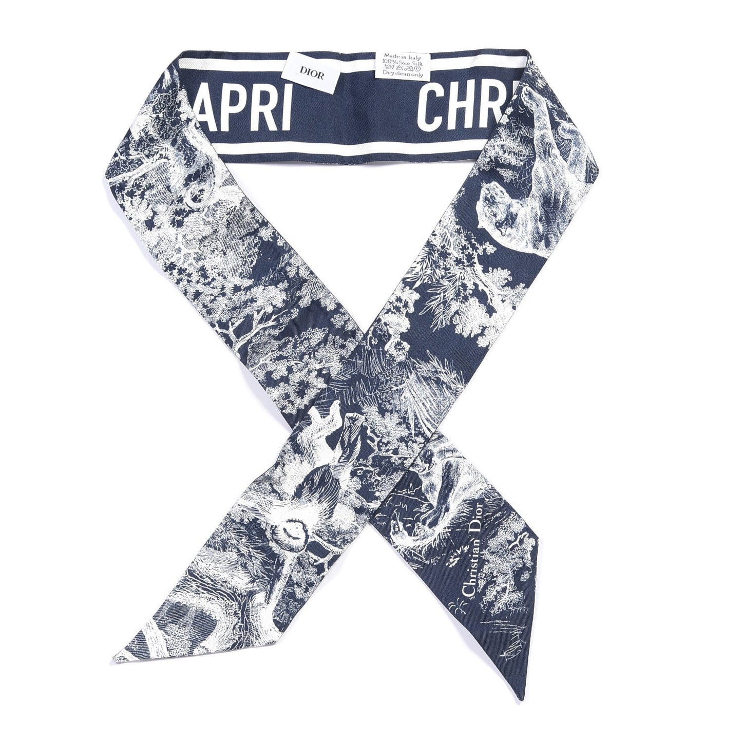 CHRISTIAN DIOR TOILE DE JOUY REVERSE CAPRI MITZAH SCARF