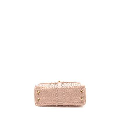 Chanel Small Coco Handle Python Light Pink GHW