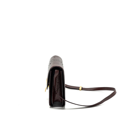 Celine medium classic box Purse python burgundy