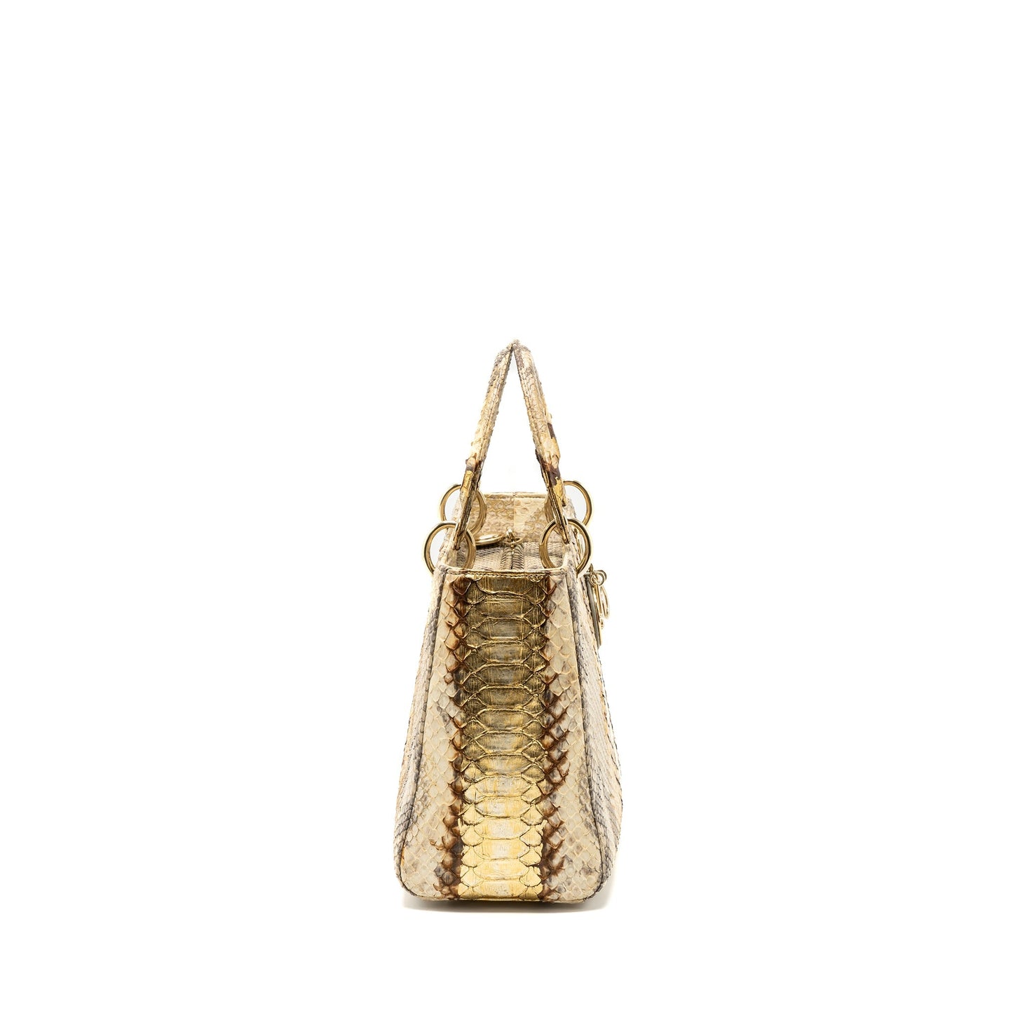 Dior Medium Lady Dior Python Multicolour
